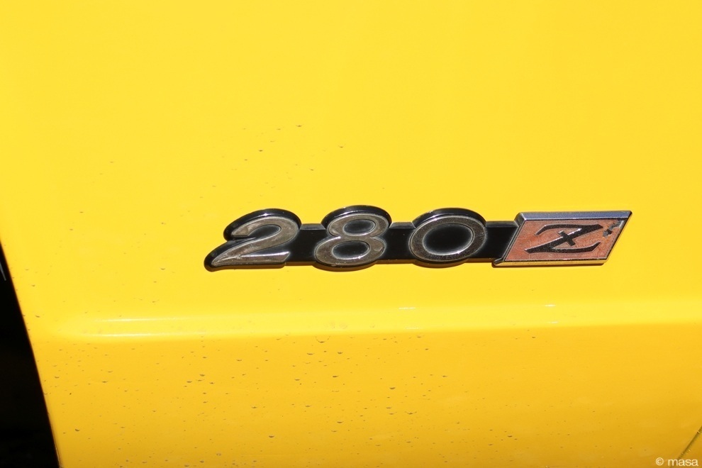 250126165.JPG