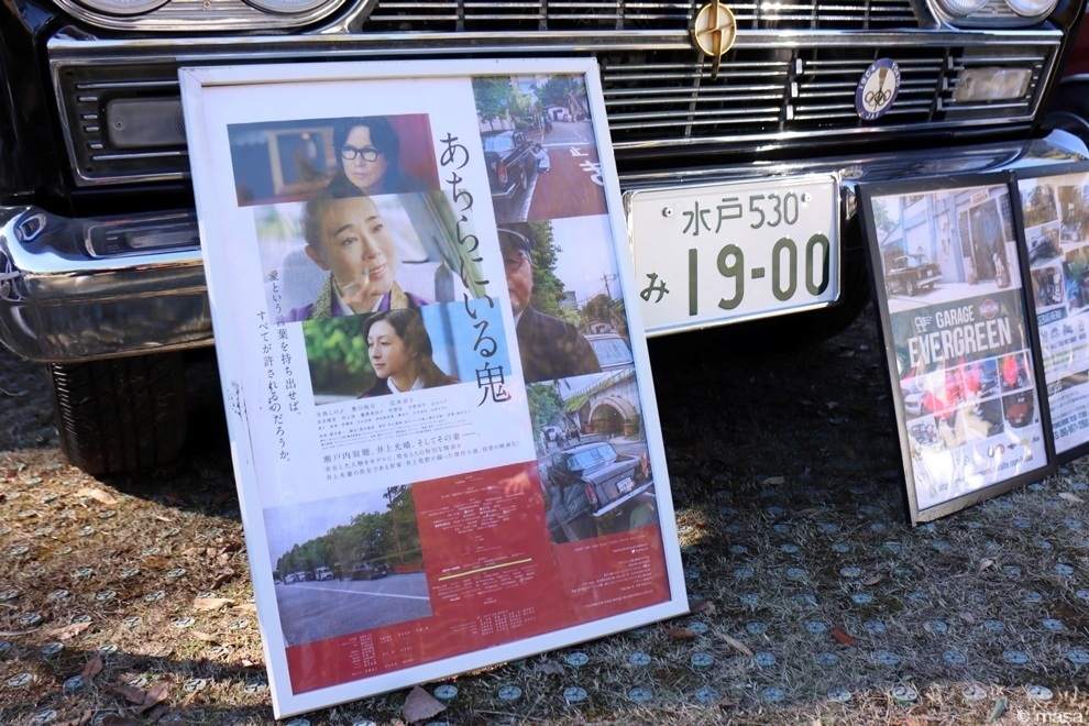 250126189.JPG