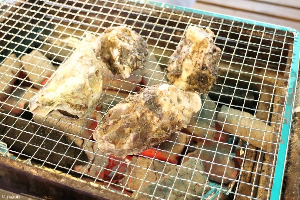 25031610.JPG