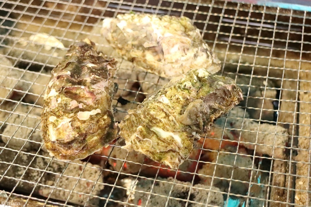 25031622.JPG